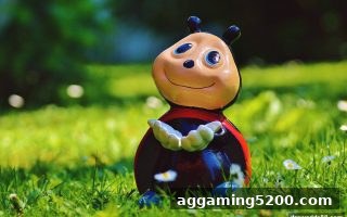 数字彩票中奖揭秘与平手盘对冲策略全解析