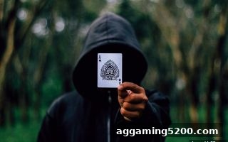 平手盘推牌九报牌频率深度解析：从数据到策略，洞察对手真实意图